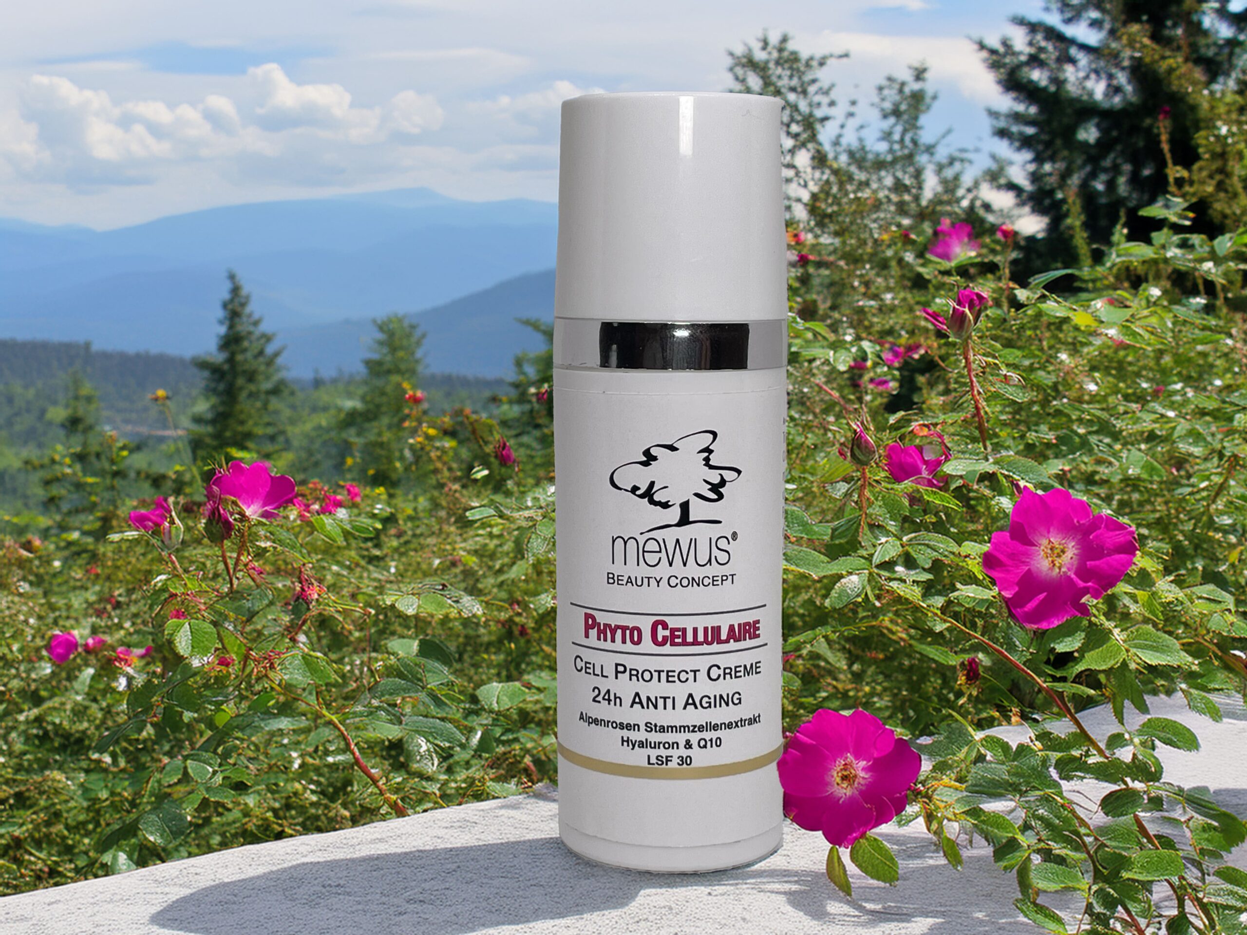 mewus® PHYTO CELLULAIRE 24 H CREME
